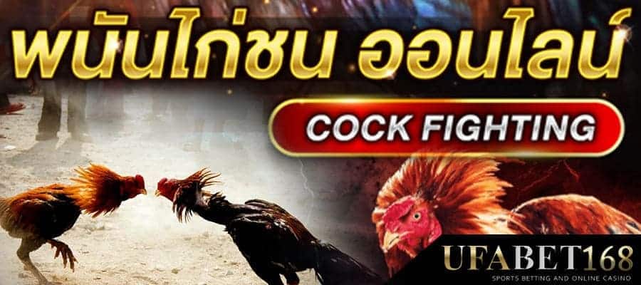 ไก่ชนออนไลน์